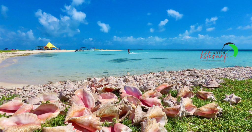 Conchiglie rosa su spiaggia tropicale dalle acque turchesi
